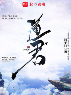 道君封面
