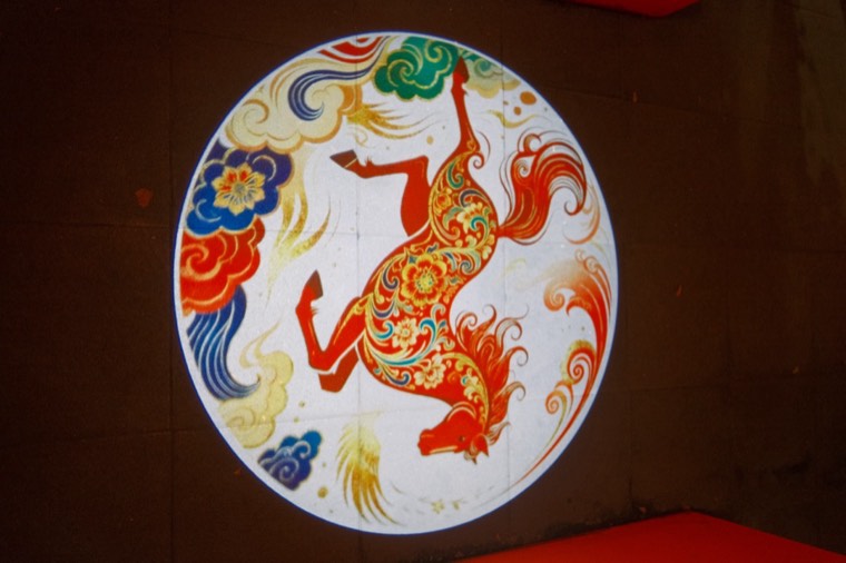照片 29