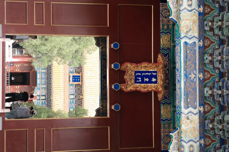 照片 29