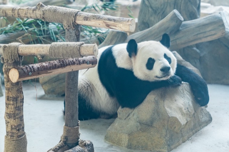 照片 14