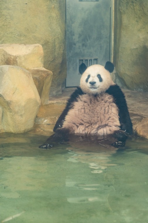 照片 16