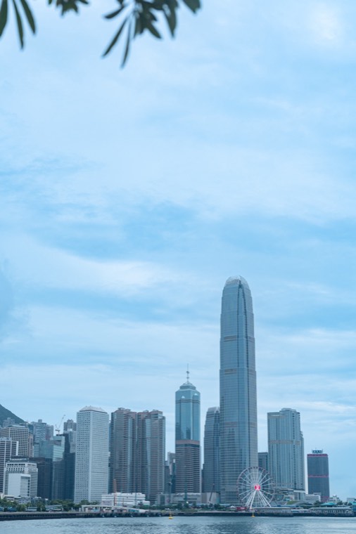 照片 11