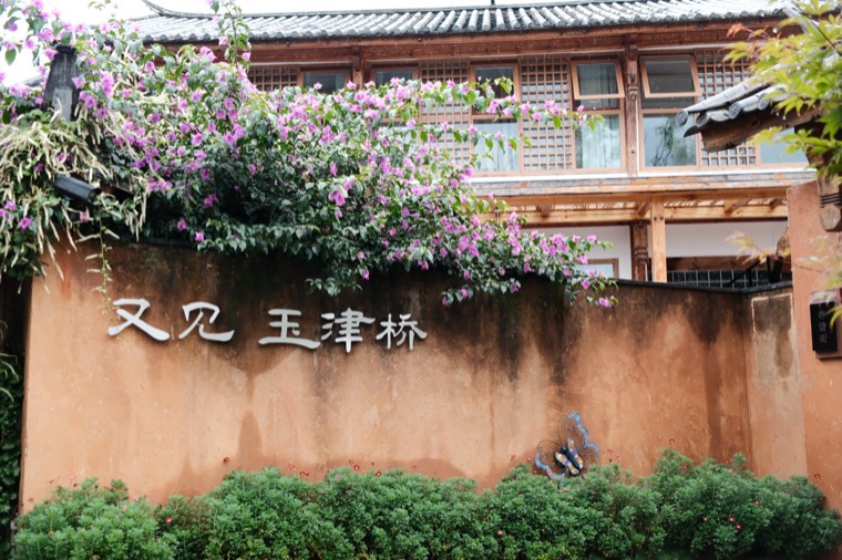 照片 15