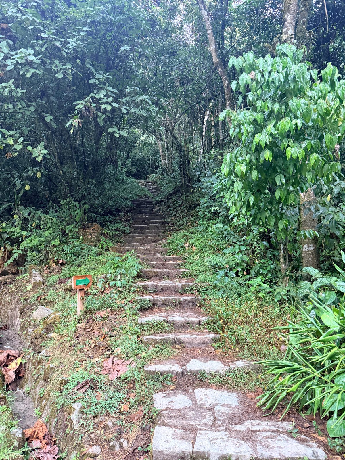 徒步上山的石阶路，又陡又滑