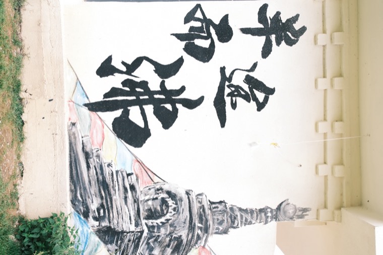 照片 12