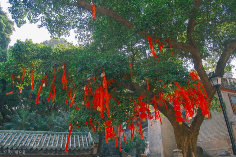 照片 02