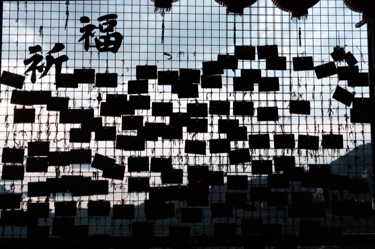 照片 71
