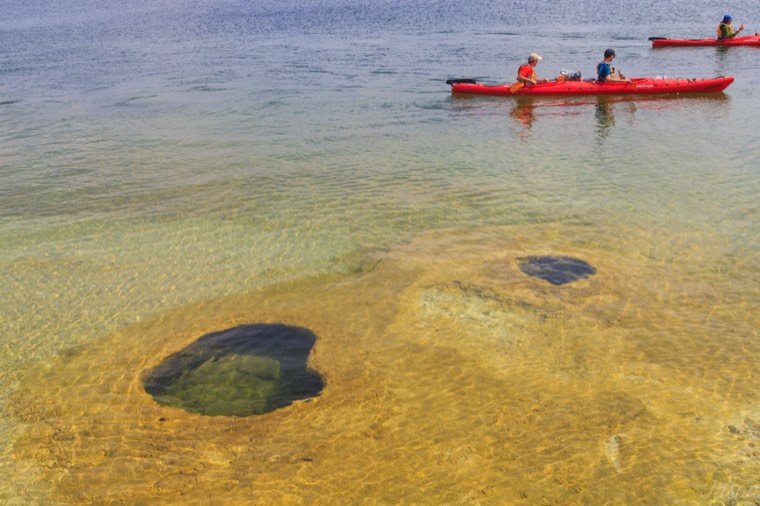 照片 23